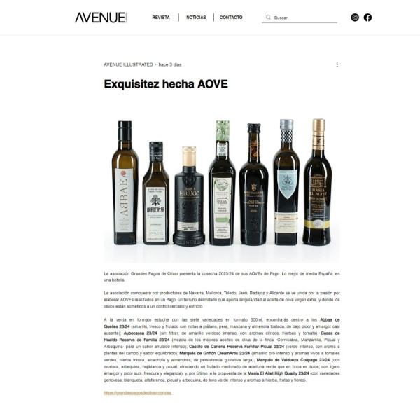 AVENUE ILLUSTRATED, marzo 2024